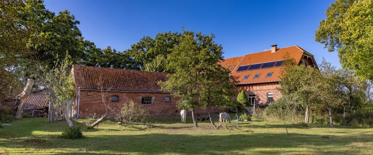 hof-elbtalaue-rosien-neues-dach-solarkollektoren-huhnerstall.1.6921bb7173209